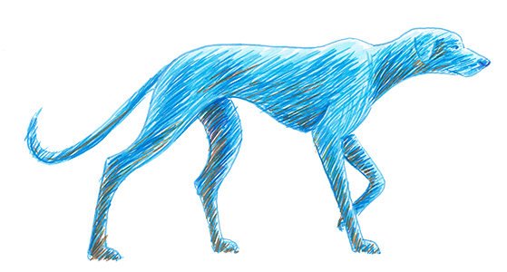 Animated dog
